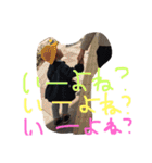 きゃんてん（個別スタンプ：8）