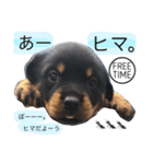 愛犬♡ロットワイラー（個別スタンプ：2）