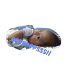 Baby Arka（個別スタンプ：5）