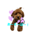 かわいいかいとすたんぷ（個別スタンプ：3）