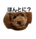 かわいいかいとすたんぷ（個別スタンプ：5）