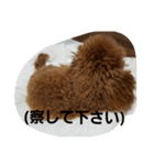 かわいいかいとすたんぷ（個別スタンプ：7）