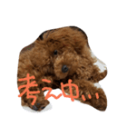 かわいいかいとすたんぷ（個別スタンプ：9）