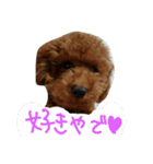かわいいかいとすたんぷ（個別スタンプ：15）