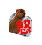かわいいかいとすたんぷ（個別スタンプ：16）