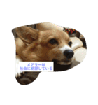shoji mary（個別スタンプ：14）