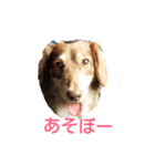 ぼくらっきー（個別スタンプ：1）