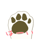 しろくろシーズー2（個別スタンプ：4）