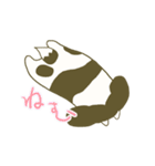しろくろシーズー2（個別スタンプ：6）