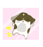 しろくろシーズー2（個別スタンプ：17）