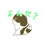 しろくろシーズー2（個別スタンプ：20）
