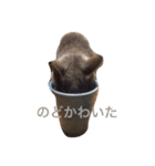 teco2（個別スタンプ：23）