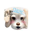 maru's   life3（個別スタンプ：7）