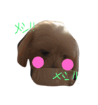 maru's   life3（個別スタンプ：8）