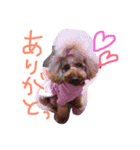 もみちゃん（個別スタンプ：1）
