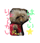 もみちゃん（個別スタンプ：3）