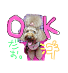もみちゃん（個別スタンプ：5）