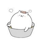 宇宙は猫とかで出来ている（個別スタンプ：1）