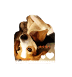 ビーグル犬ナッツです。（個別スタンプ：7）