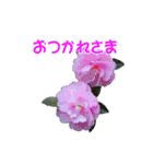 花を添えて 2（個別スタンプ：1）
