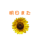 花を添えて 2（個別スタンプ：2）