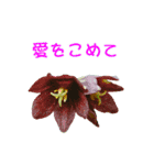 花を添えて 2（個別スタンプ：4）