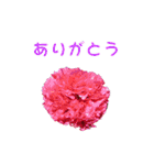花を添えて 2（個別スタンプ：6）