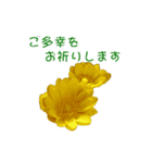 花を添えて 2（個別スタンプ：7）