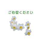 花を添えて 2（個別スタンプ：8）
