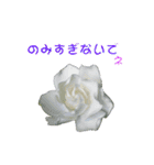 花を添えて 2（個別スタンプ：10）