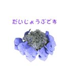 花を添えて 2（個別スタンプ：12）
