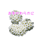 花を添えて 2（個別スタンプ：13）