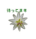 花を添えて 2（個別スタンプ：15）