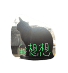 QQ B cat（個別スタンプ：2）