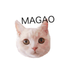 ぐうたらねこの簡単返信（個別スタンプ：1）