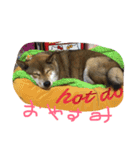 chokostnp（個別スタンプ：1）