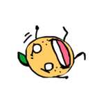 オレンジボーイ（個別スタンプ：11）