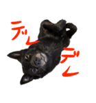 甲斐犬さくらの気持ち（個別スタンプ：8）
