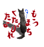 甲斐犬さくらの気持ち（個別スタンプ：20）