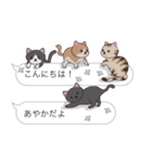 【あやか】猫だらけの吹き出し（個別スタンプ：2）