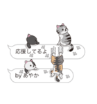 【あやか】猫だらけの吹き出し（個別スタンプ：10）