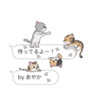 【あやか】猫だらけの吹き出し（個別スタンプ：15）