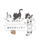 【あやか】猫だらけの吹き出し（個別スタンプ：20）