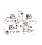 【あやか】猫だらけの吹き出し（個別スタンプ：24）