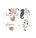 【あやか】猫だらけの吹き出し（個別スタンプ：28）