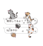 【あやか】猫だらけの吹き出し（個別スタンプ：30）