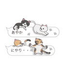 【あやか】猫だらけの吹き出し（個別スタンプ：35）