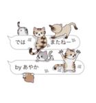 【あやか】猫だらけの吹き出し（個別スタンプ：40）