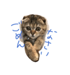 チュティジちゃん（個別スタンプ：1）