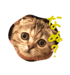 チュティジちゃん（個別スタンプ：5）